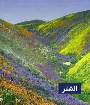 وضعیت آب و هوای الشتر