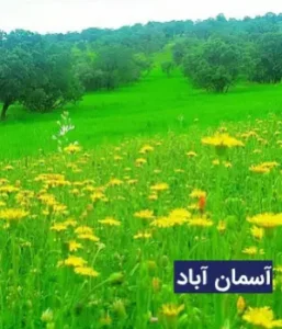 وضعیت آب و هوای آسمان آباد