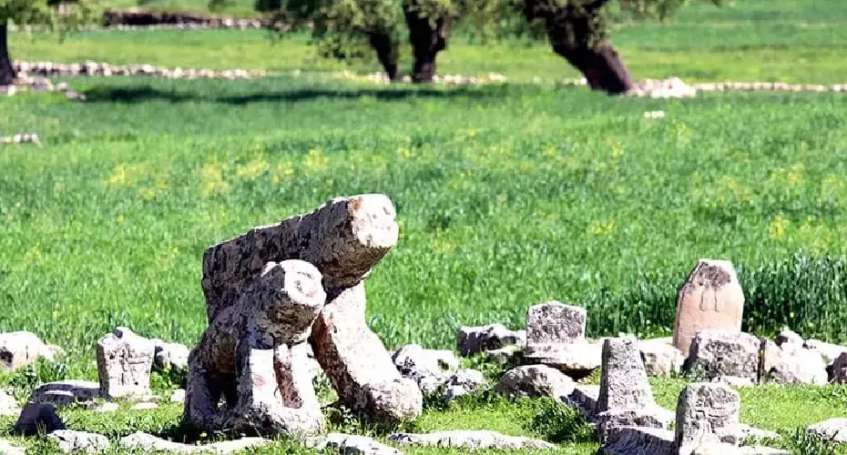 بهترین زمان سفر به دشت سوسن