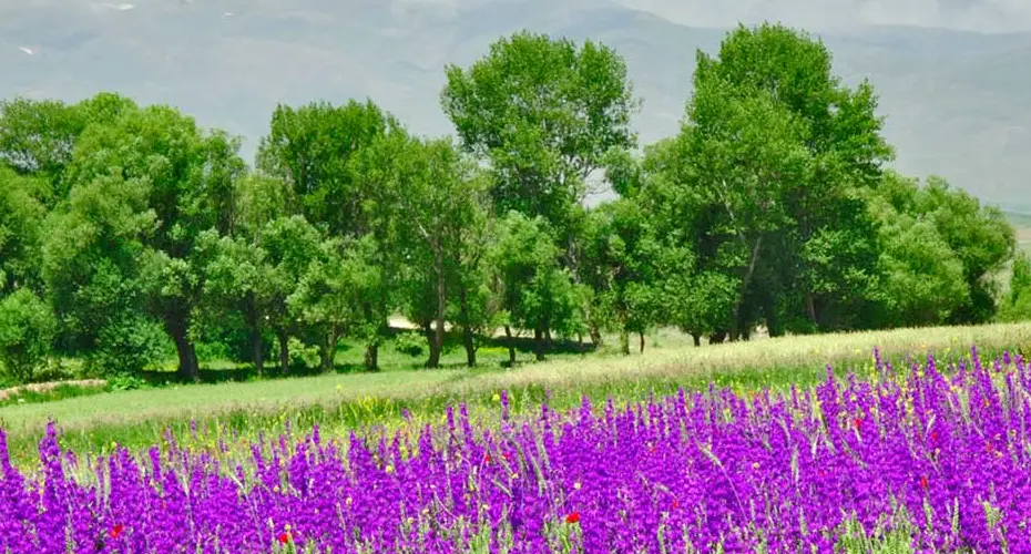 بهترین زمان سفر به سر عین اردبیل