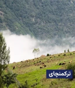 وضعیت آب و هوای ترکمانچای