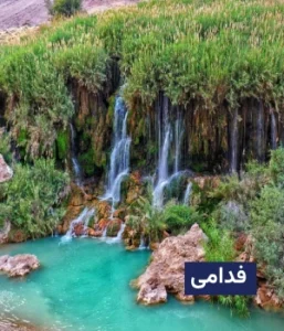 وضعیت آب و هوای فدامی
