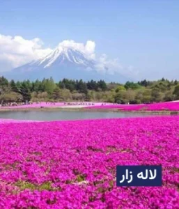 وضعیت آب و هوای لاله زار