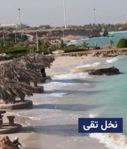 وضعیت آب و هوای نخل تقی