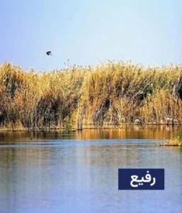 وضعیت آب و هوای رفیع
