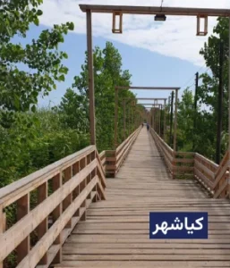 وضعیت آب و هوای کیاشهر