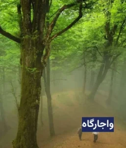 وضعیت آب و هوای واجارگاه