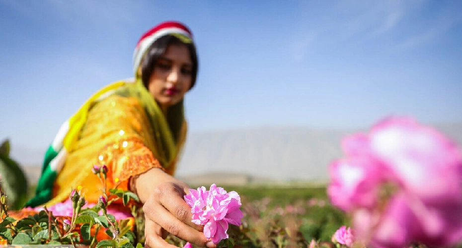 بهترین زمان سفر به میمند فارس