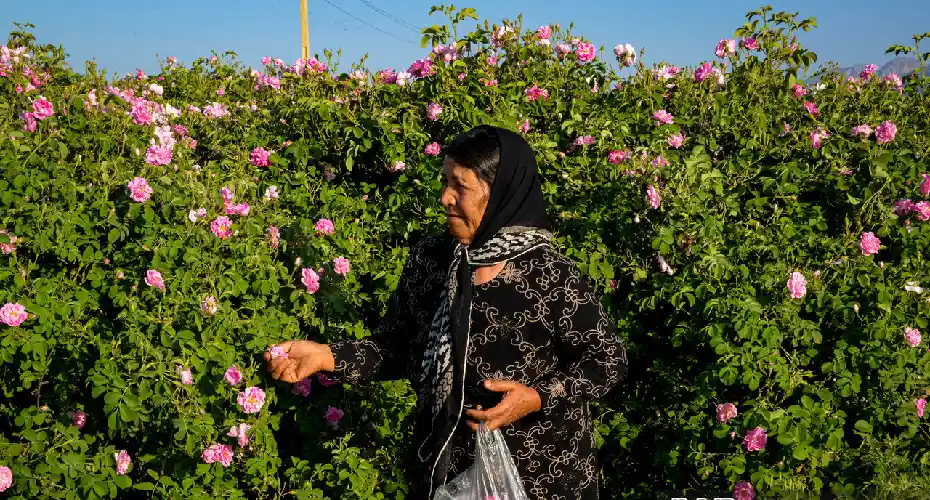 بهترین زمان سفر به میمند فارس
