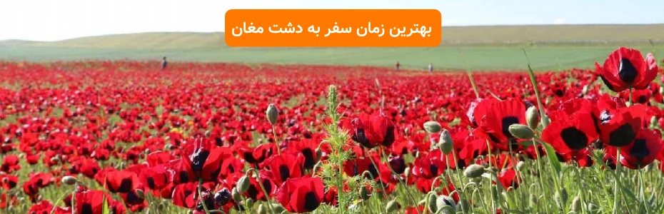 بهترین زمان سفر به دشت مغان