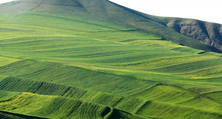 بهترین زمان سفر به دشت مغان