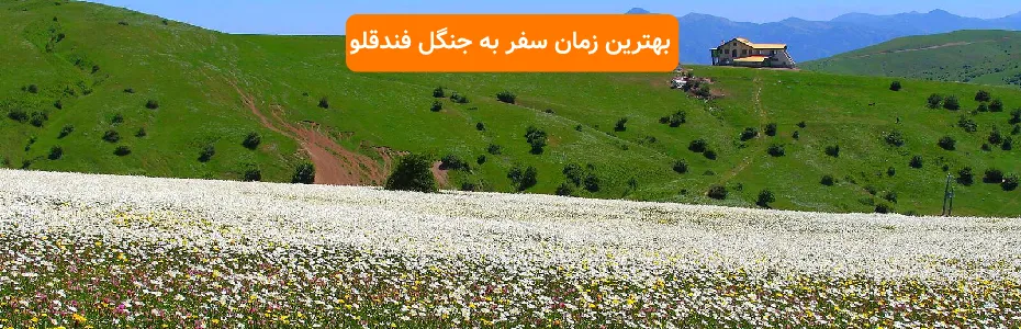 بهترین زمان سفر به جنگل فندقلو