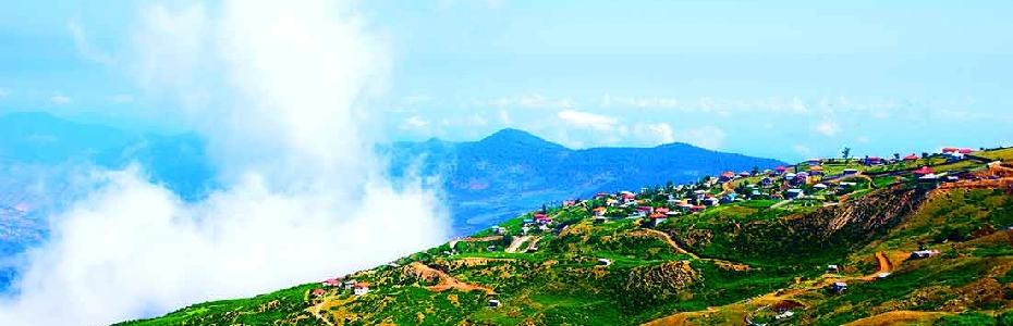 تیر کجا بریم؟