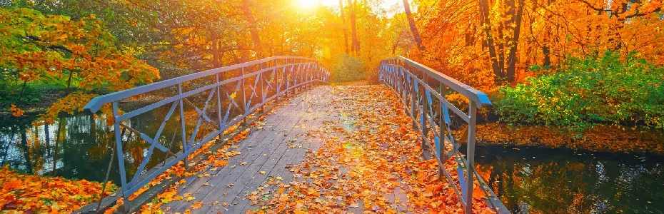 آذر کجا بریم؟